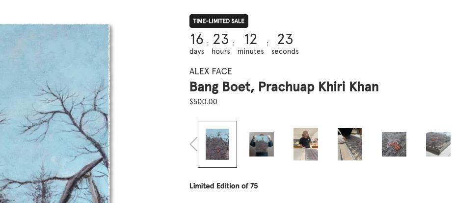 Product page with a time-limited sale countdown and a limited edition of 75